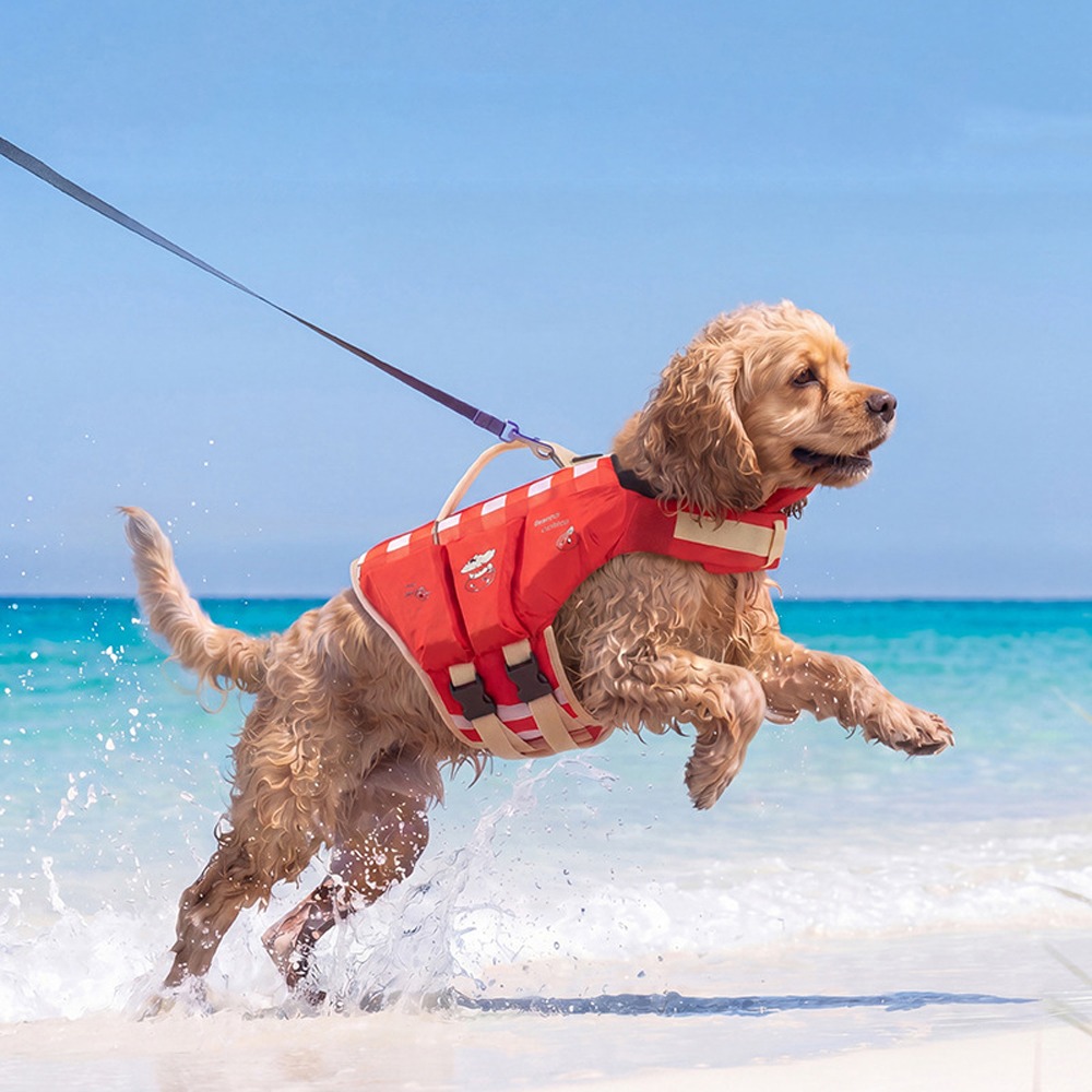 Wasserdichte Hunde-Schwimmwest – Life Jacket Bewertung und Preis
